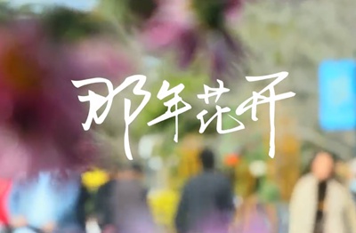 花映長江畔 菊舞宜昌城